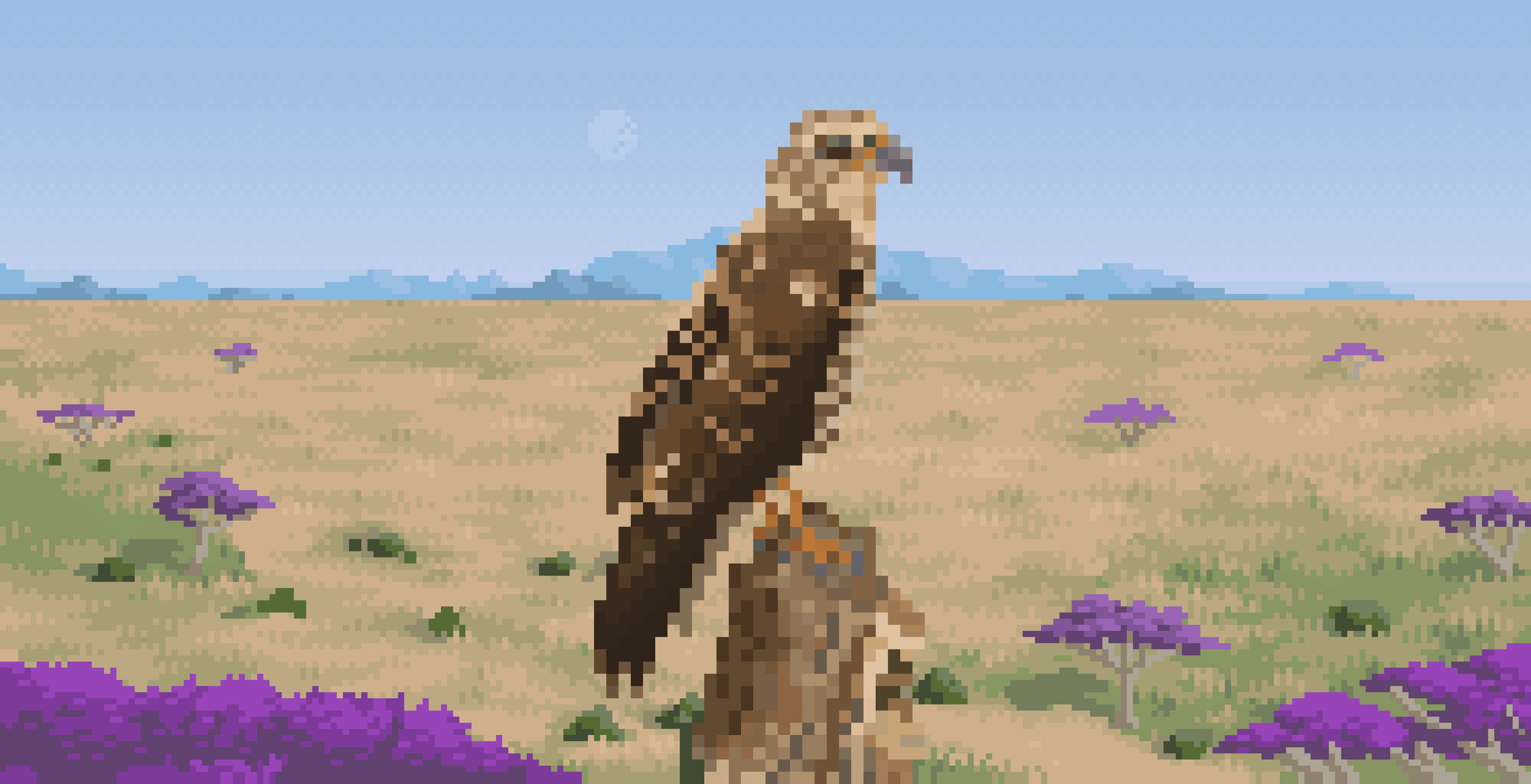Aguilucho